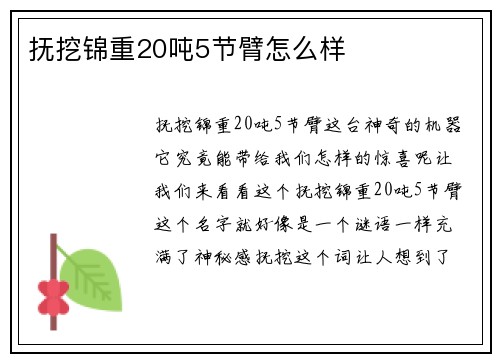 抚挖锦重20吨5节臂怎么样